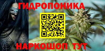 гашик Абакан