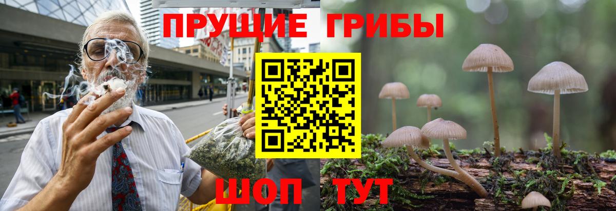 Галлюциногенные грибы Cubensis  закладки  Абинск  Вход с VPN 